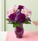 /images/90008^1lg.jpg Plum Crazy